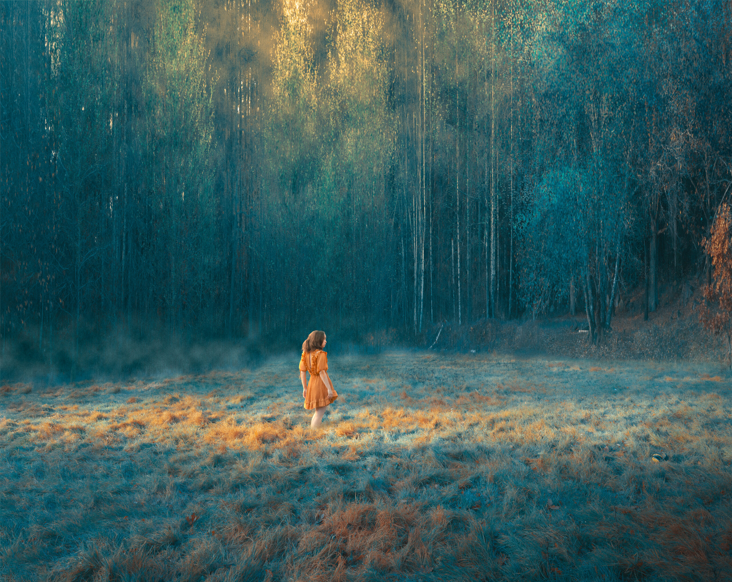 Flickan i gul klänning står ensam på gräsfältet. Hennes vän vargen har också gått iväg.
