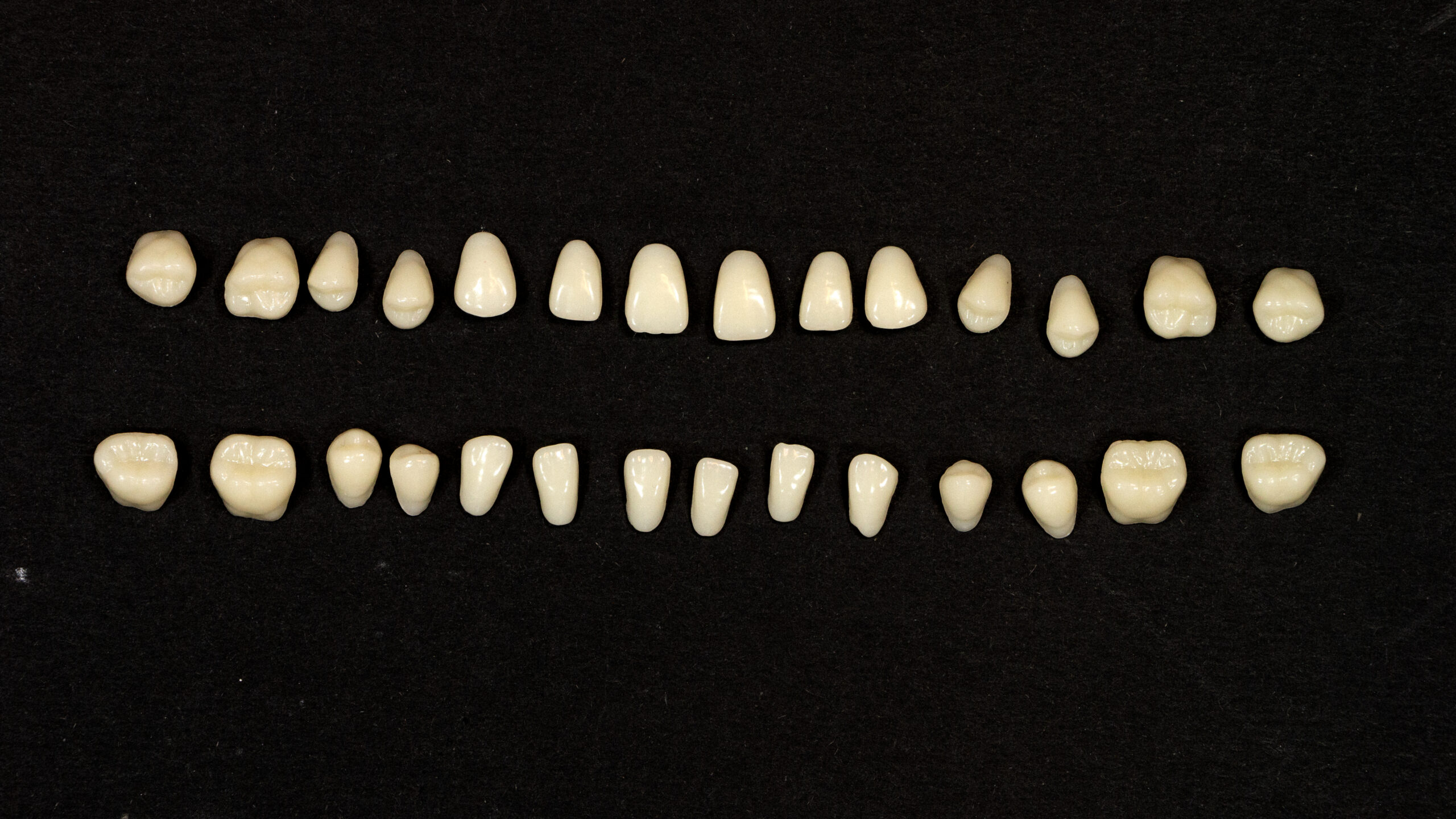 Resin teeth aligned on black background