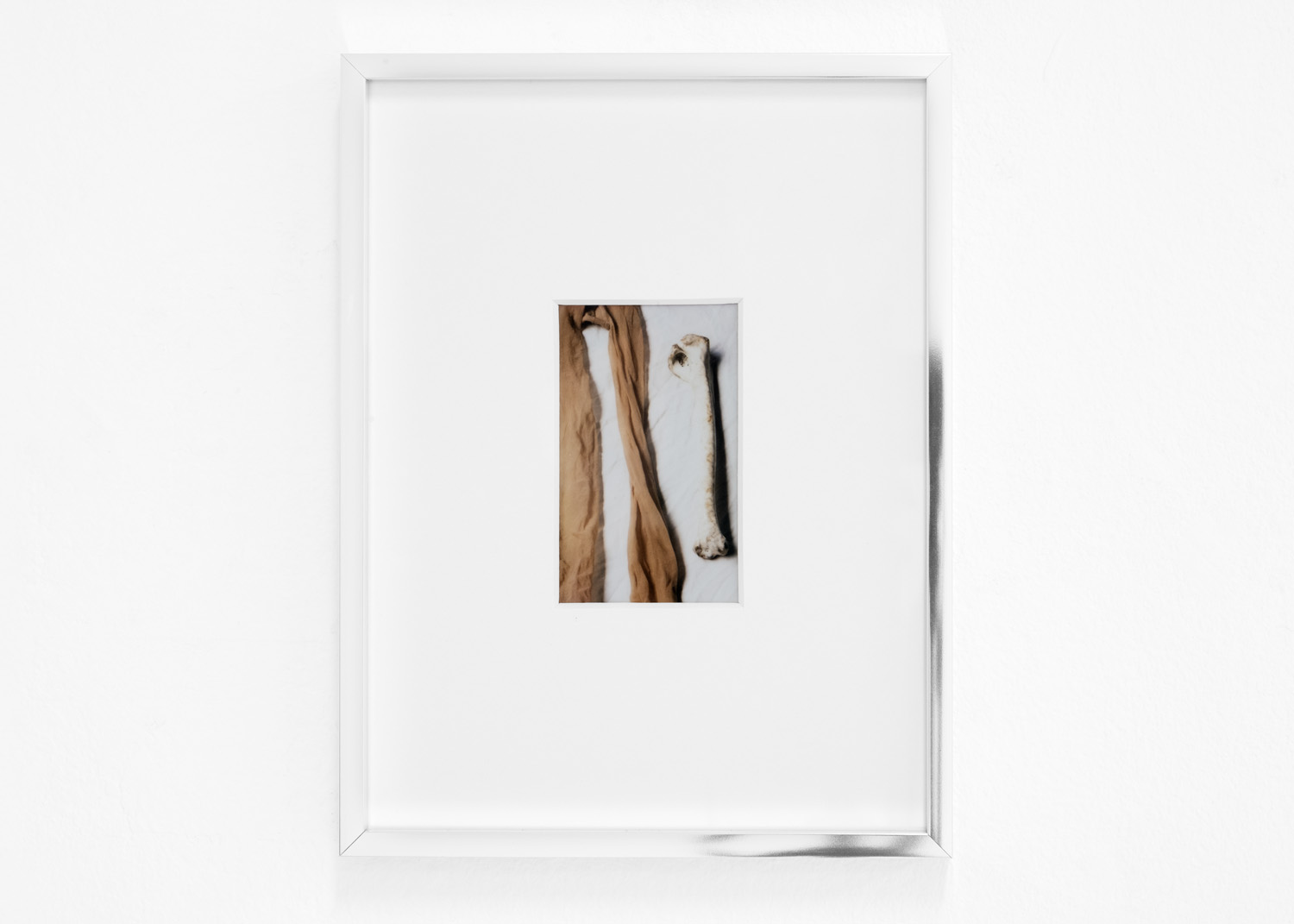 Dokumntationsbild från Isak Uittos utställning Mjuk som sammet föreställande inramat stillebenfotografi